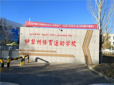 新疆伊犁體?；@球館運動地板案例
