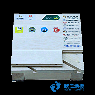 體育館運(yùn)動木地板結(jié)構(gòu)方案