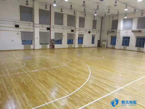 歐氏體育場館運(yùn)動(dòng)木地板翻新服務(wù)中心