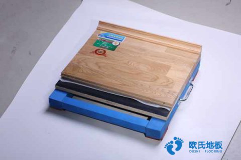 楓木、楓樺木、柞木運動地板用途是什么