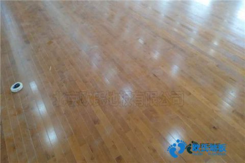 哈爾濱性?xún)r(jià)比高的懸浮地板廠(chǎng)家