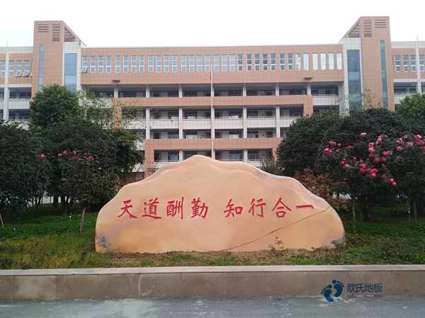 彈性運(yùn)動場館木地板排行2